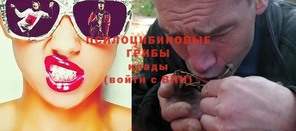 спиды Медногорск