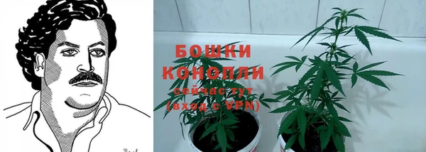 молекула духа Медвежьегорск