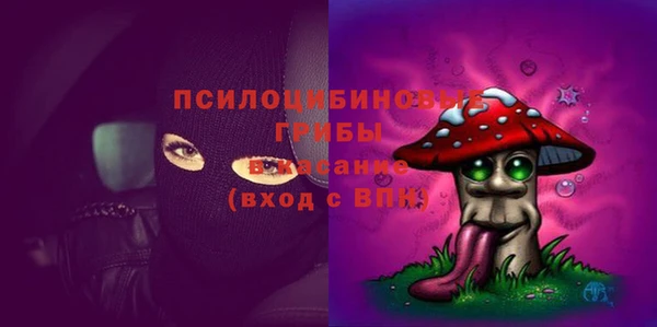 спиды Медногорск