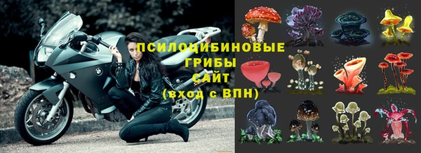 а пвп мука Мегион