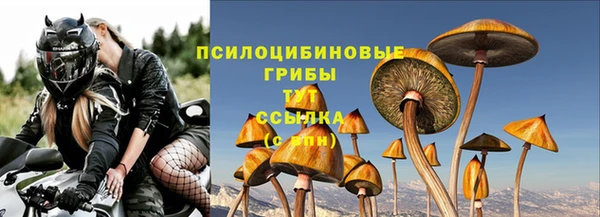 а пвп мука Мегион